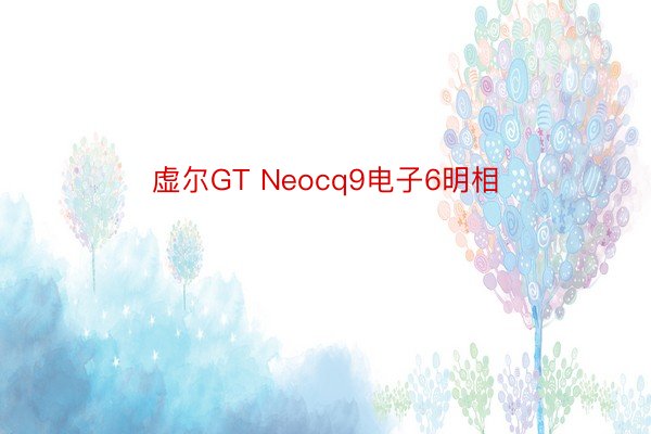 虚尔GT Neocq9电子6明相
