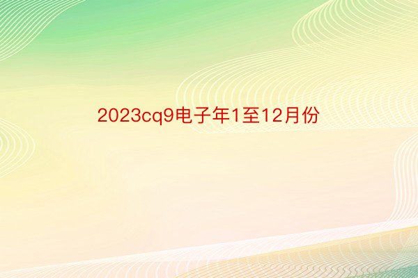 2023cq9电子年1至12月份