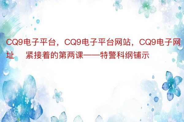 CQ9电子平台，CQ9电子平台网站，CQ9电子网址    紧接着的第两课——特警科纲铺示